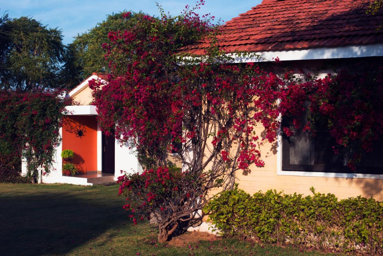 Pushkar Resort Dış mekan fotoğraf