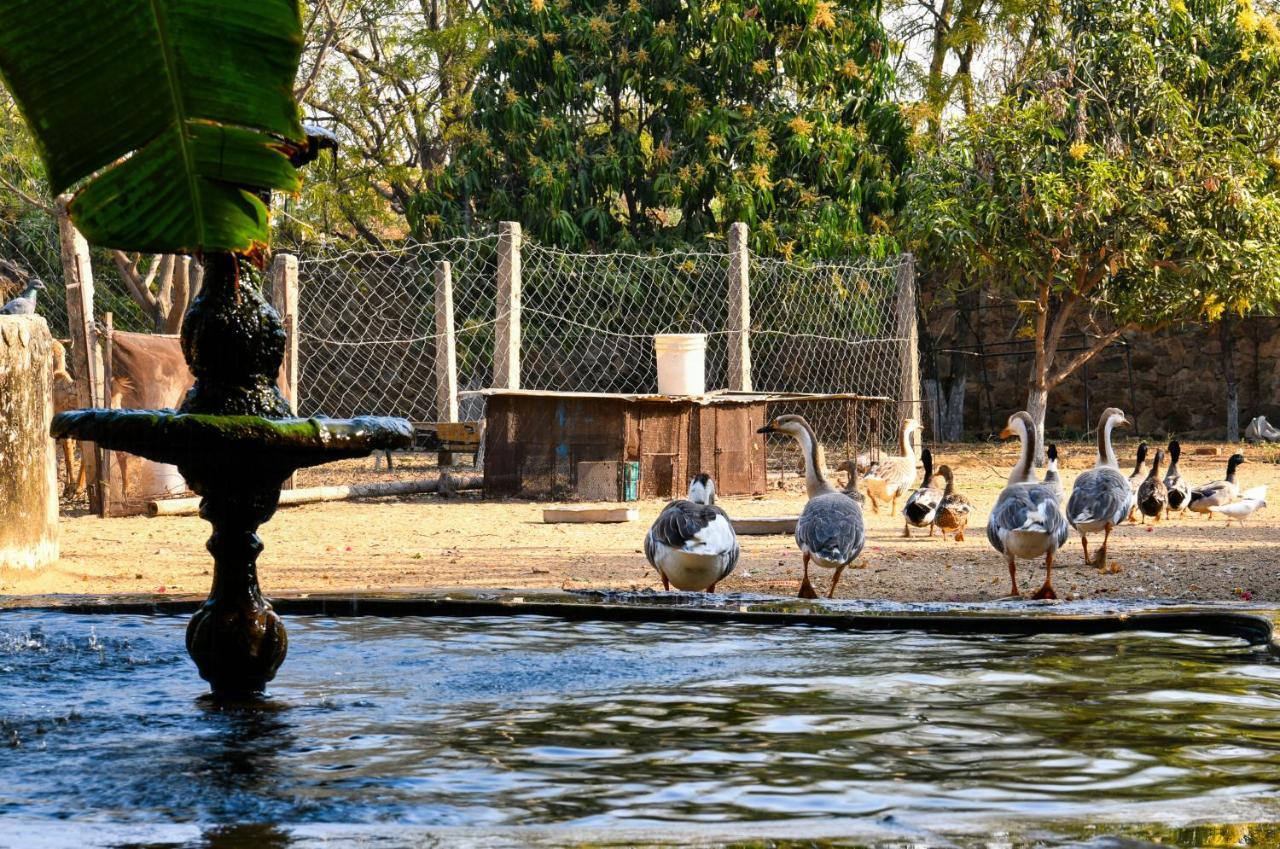 Pushkar Resort Dış mekan fotoğraf